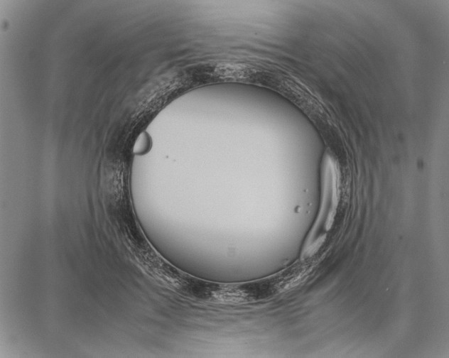 X0000087670603200705181706