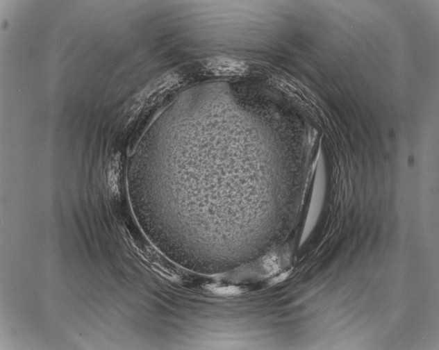 X0000087670604200705181706