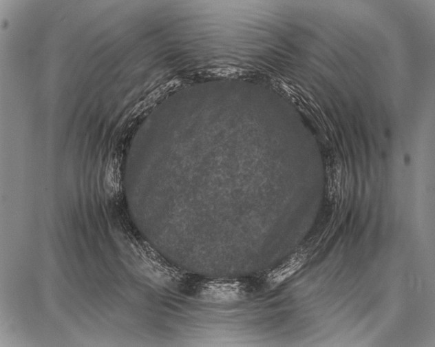 X0000087670606200705181706