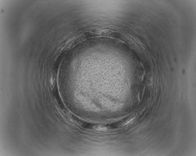 X0000087670607200705181706