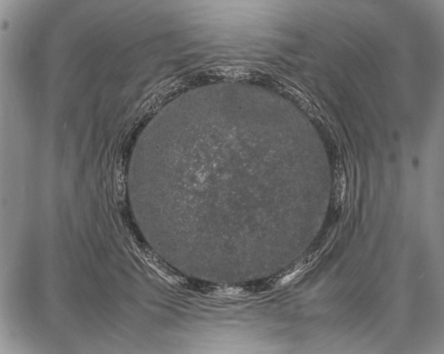 X0000087670609200705181706