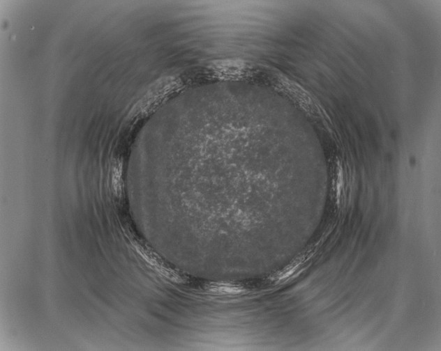 X0000087670610200705181706