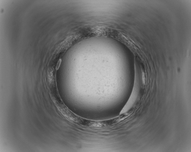 X0000087670611200705181706