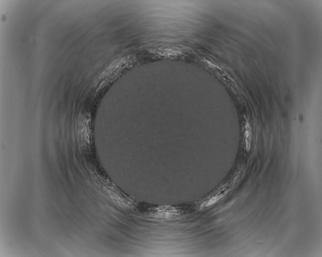 X0000087670612200705181706