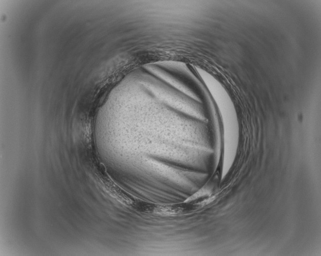 X0000087670613200705181706