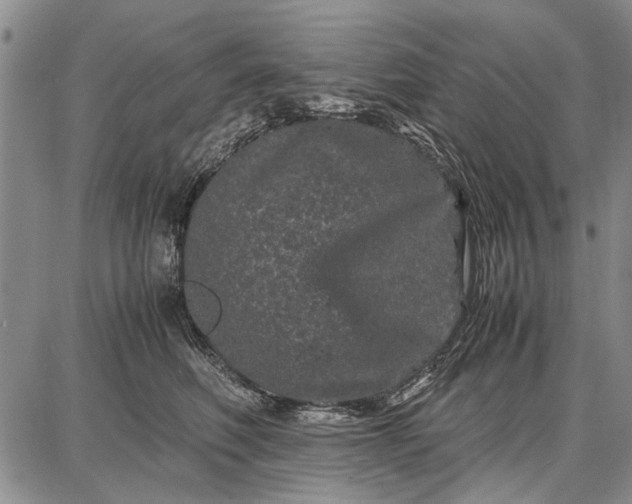 X0000087670614200705181706