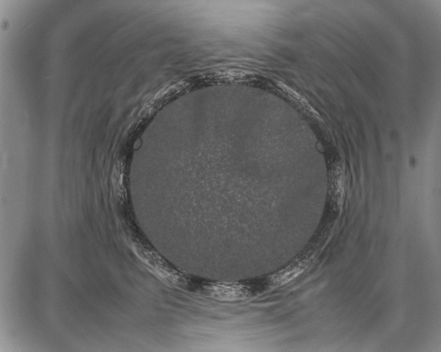 X0000087670615200705181706