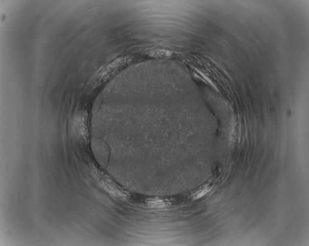 X0000087670616200705181706