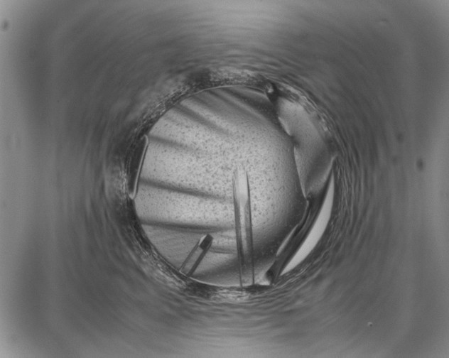 X0000087670617200705181706