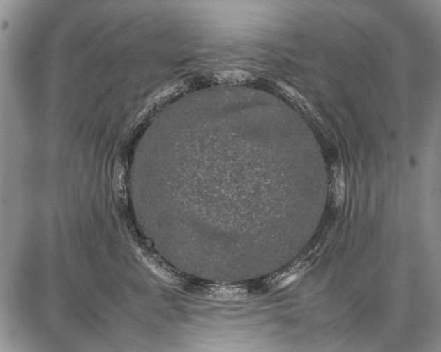 X0000087670619200705181706