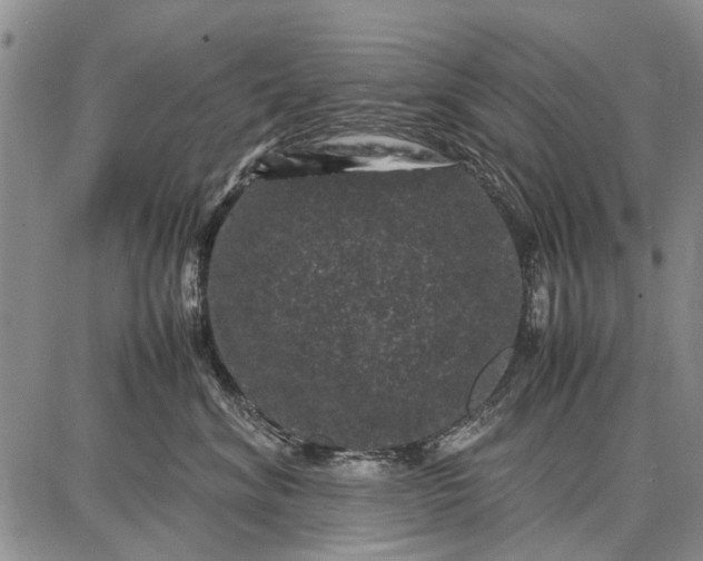 X0000087670620200705181706