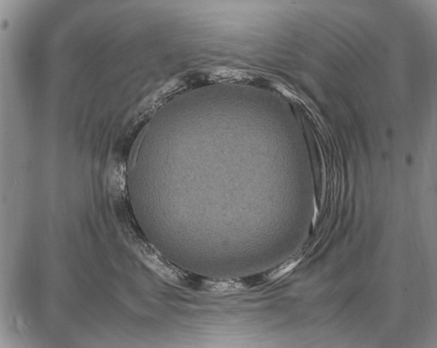 X0000087670621200705181706