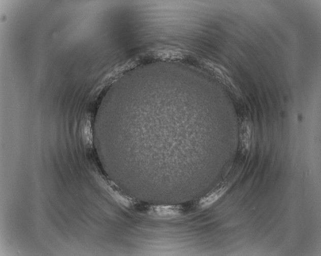 X0000087670622200705181706