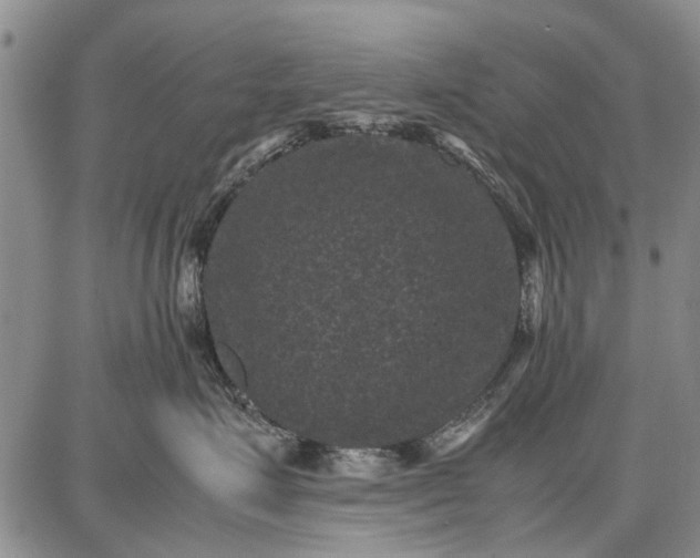 X0000087670623200705181706