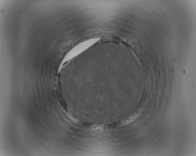 X0000087670624200705181706