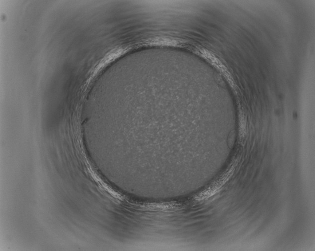 X0000087670625200705181705