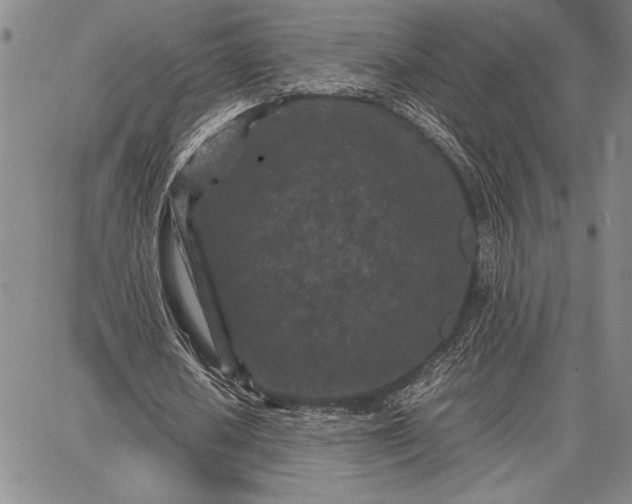 X0000087670626200705181705