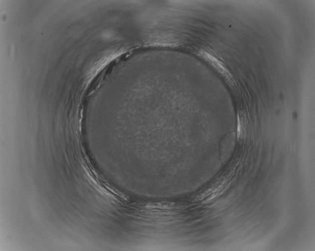 X0000087670627200705181705