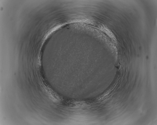 X0000087670628200705181705