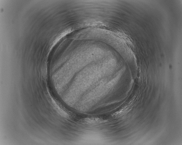 X0000087670630200705181705