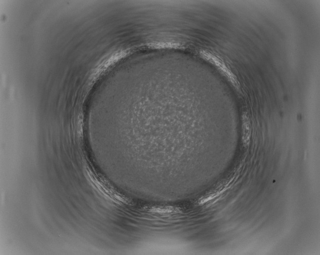 X0000087670631200705181705