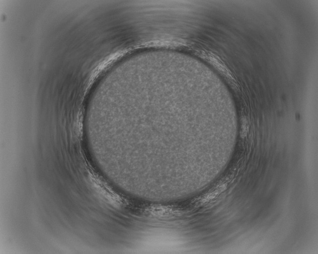 X0000087670632200705181705