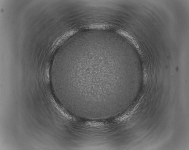 X0000087670633200705181705