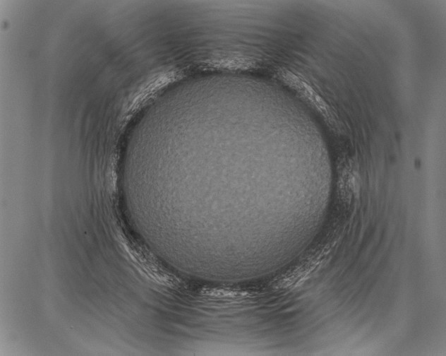 X0000087670635200705181705