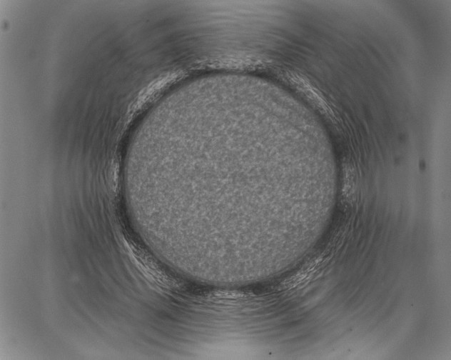 X0000087670636200705181705