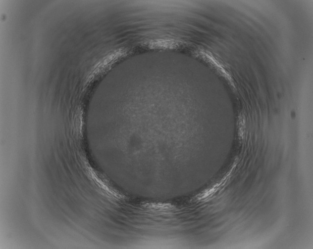 X0000087670637200705181705