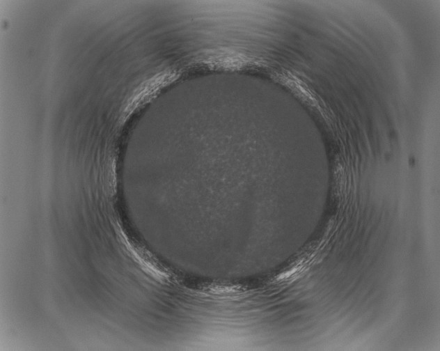 X0000087670638200705181705