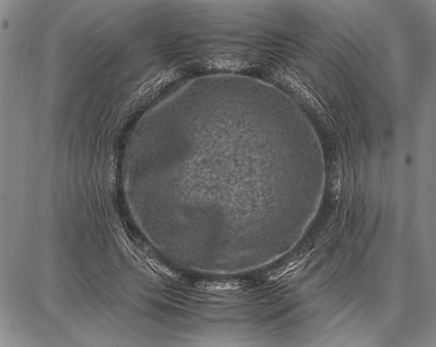 X0000087670639200705181705