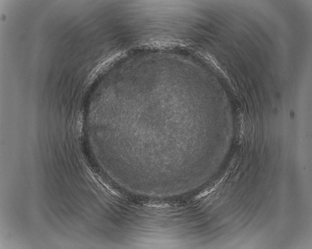 X0000087670640200705181705