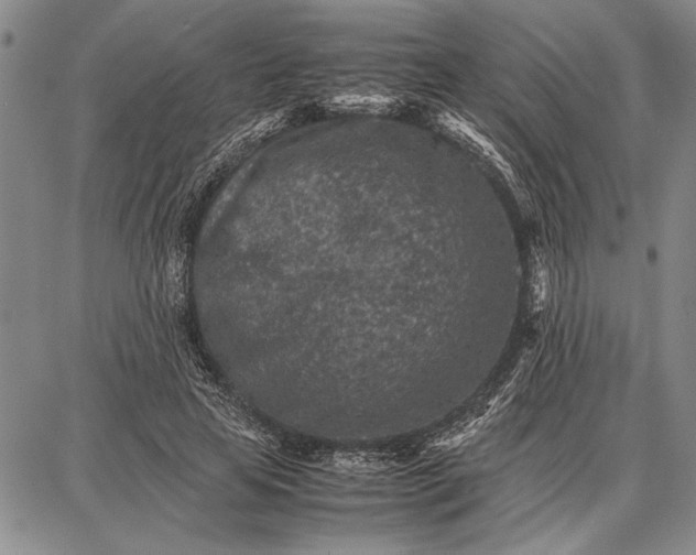 X0000087670641200705181705