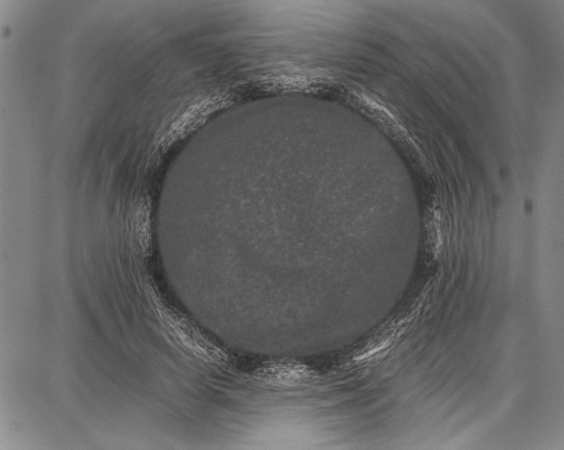 X0000087670642200705181706