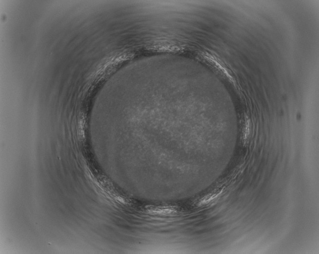 X0000087670643200705181706