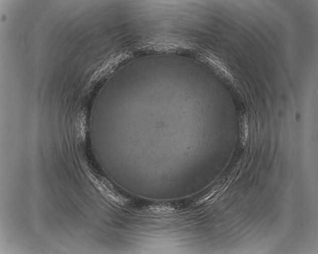 X0000087670644200705181706