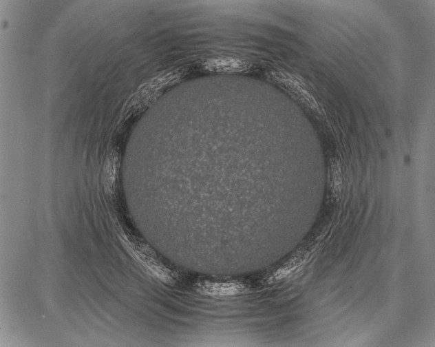 X0000087670645200705181706