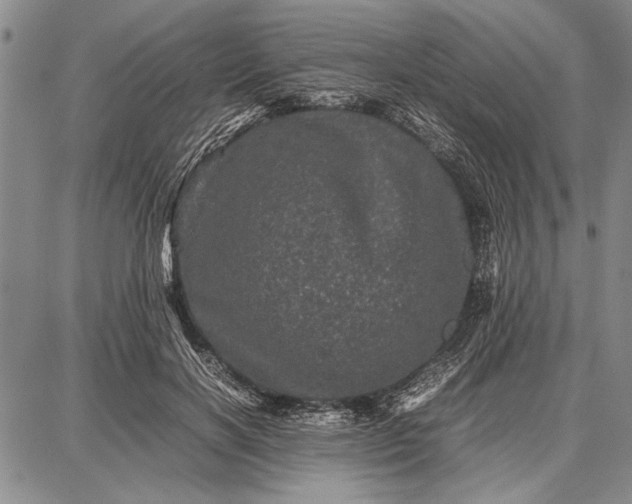 X0000087670646200705181706