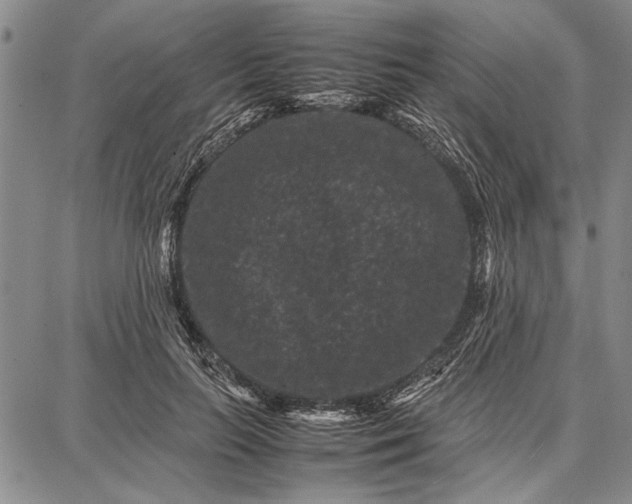 X0000087670647200705181706