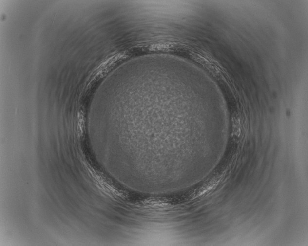 X0000087670648200705181706