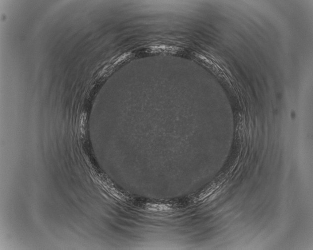 X0000087670649200705181706