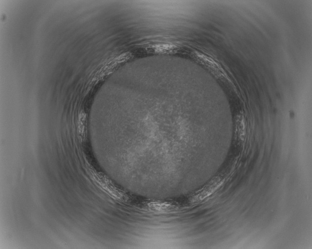 X0000087670650200705181706