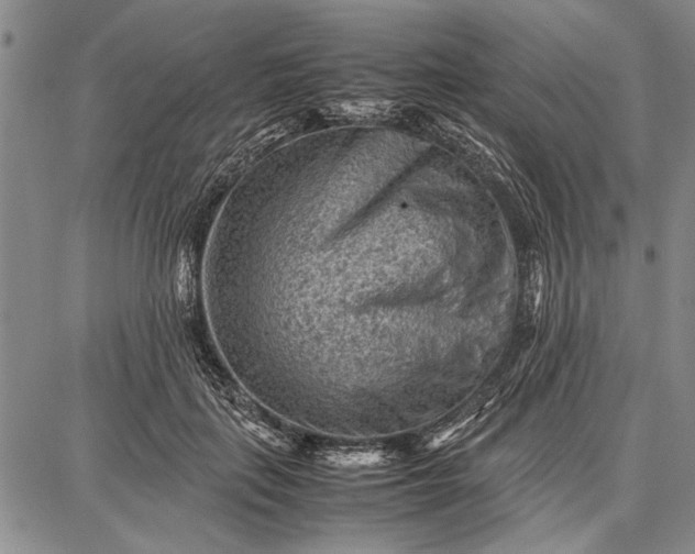 X0000087670651200705181706