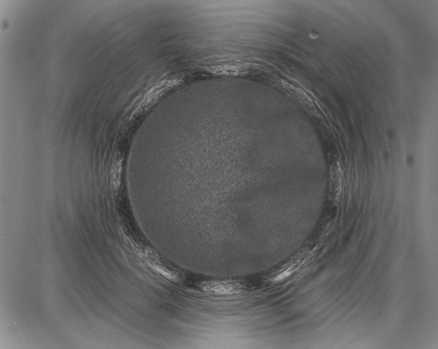 X0000087670652200705181706