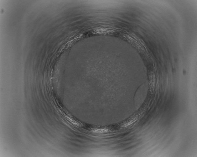 X0000087670653200705181706