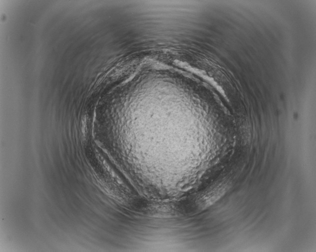 X0000087670654200705181706