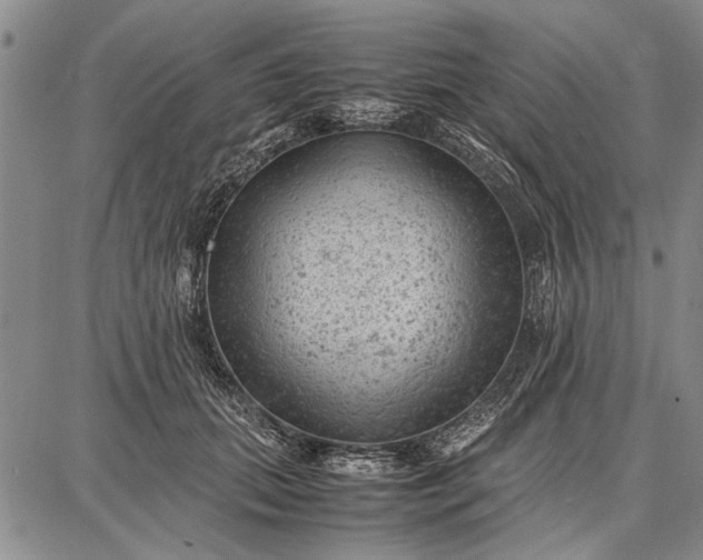 X0000087670655200705181706