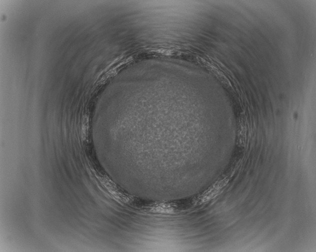 X0000087670656200705181706