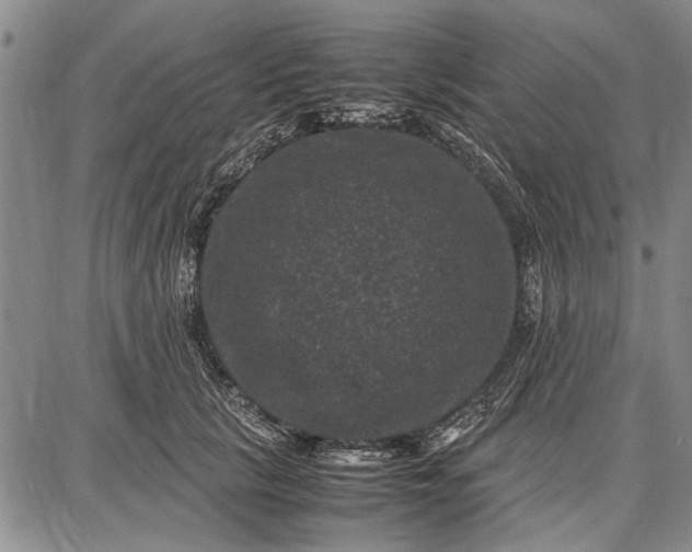 X0000087670657200705181706